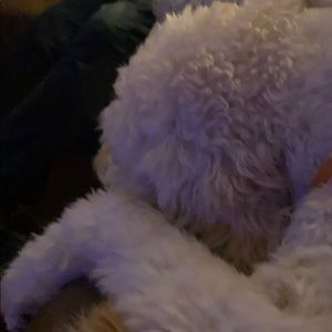 Meet your Posher, Jeanene